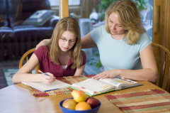 Домашний учитель даст вашему ребенку более качественное и индивидуально ориентированное образование, чем любая школа